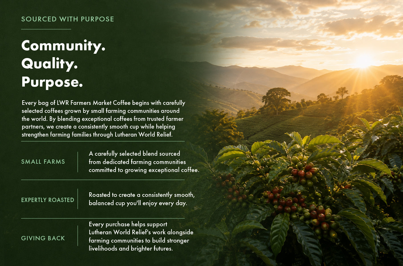 LWR Medium Roast Coffee