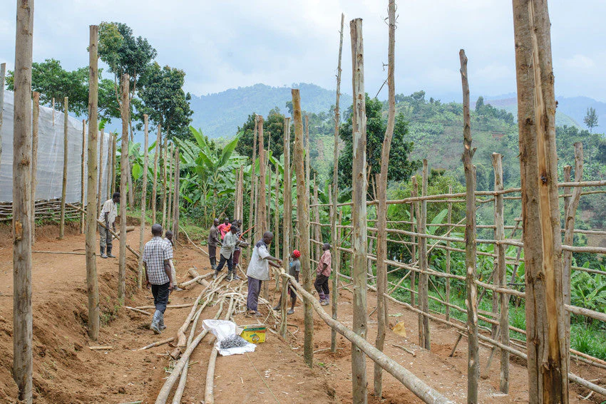 Uganda Micro-Farm Community Blend