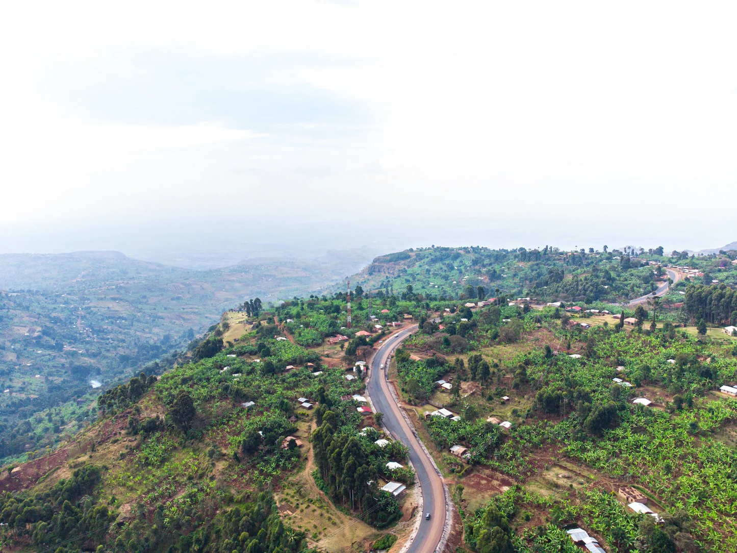 Uganda Micro-Farm Community Blend
